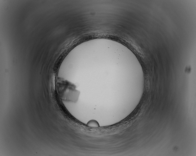 X0000099960022200806201348