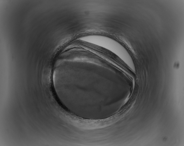 X0000099960023200806201348