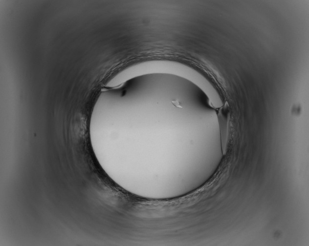 X0000099960025200806201348