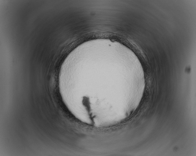 X0000099960026200806201348