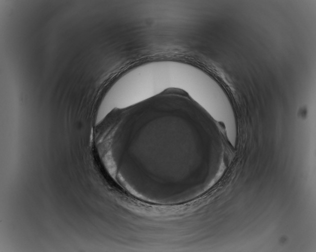 X0000099960027200806201348