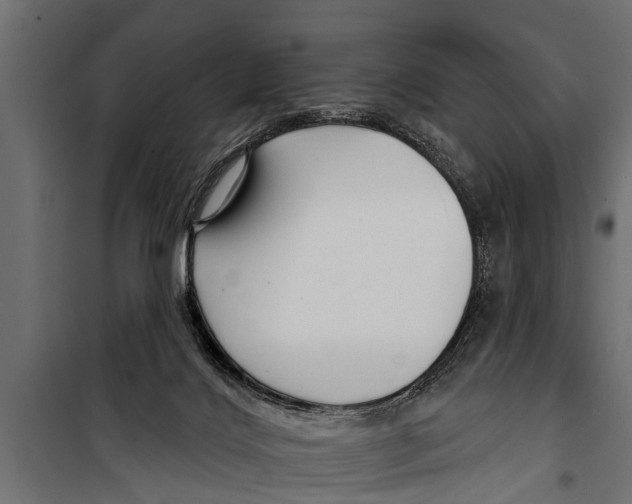 X0000099960028200806201348