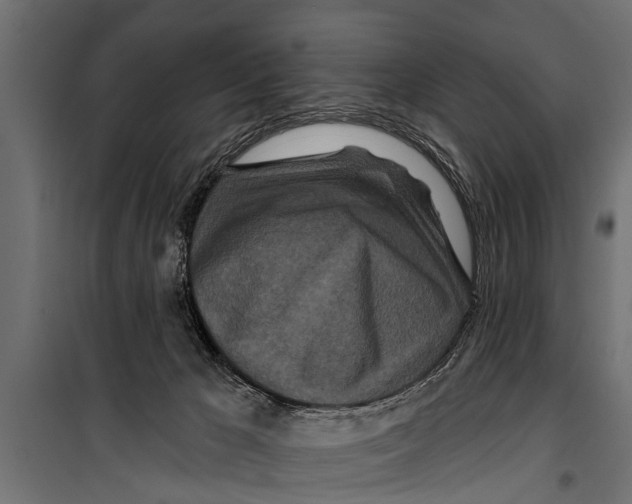 X0000099960029200806201348