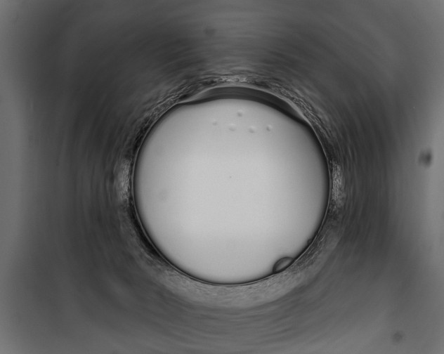 X0000099960030200806201348