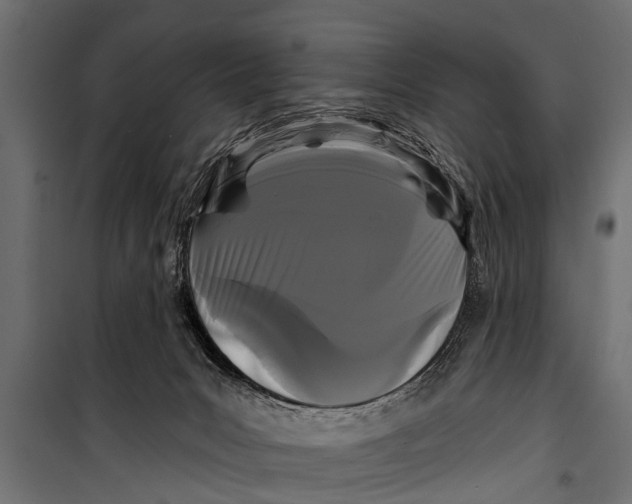 X0000099960031200806201348