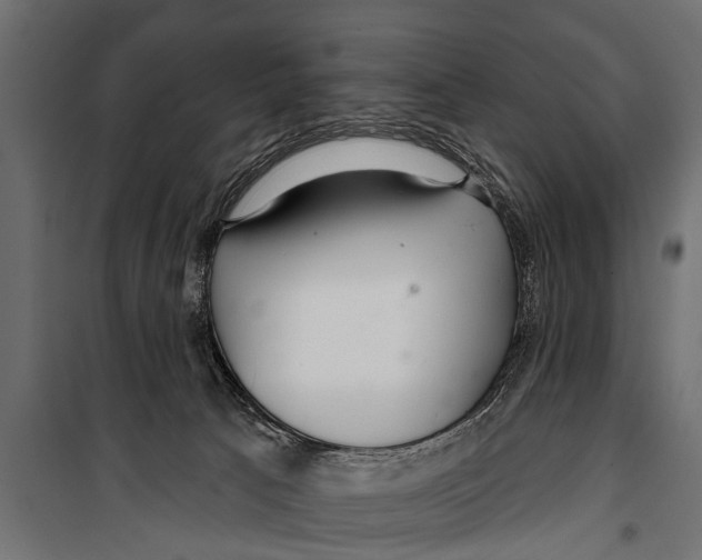 X0000099960033200806201347