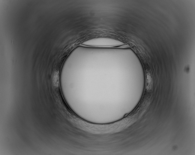 X0000099960034200806201347