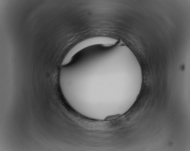 X0000099960036200806201347