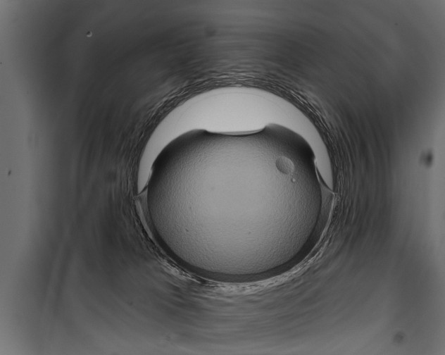 X0000099960037200806201347