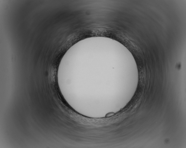 X0000099960038200806201347