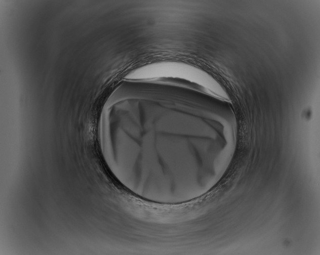 X0000099960039200806201347