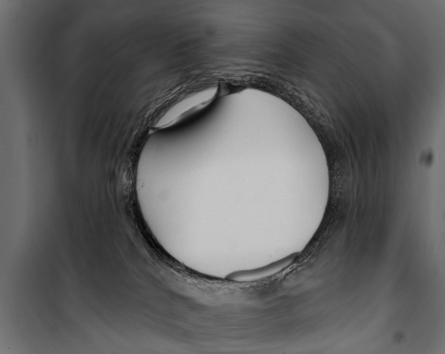 X0000099960040200806201347