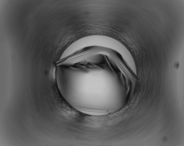 X0000099960041200806201347