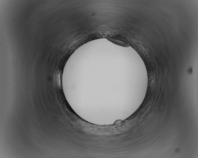 X0000099960042200806201347