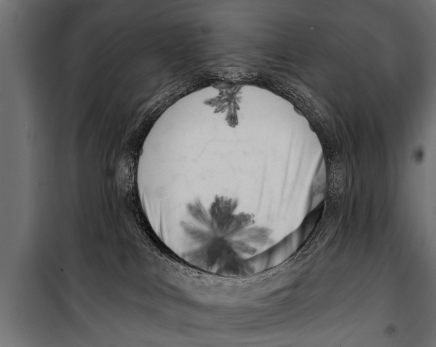 X0000099960043200806201347