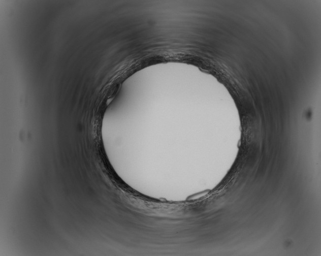 X0000099960044200806201347