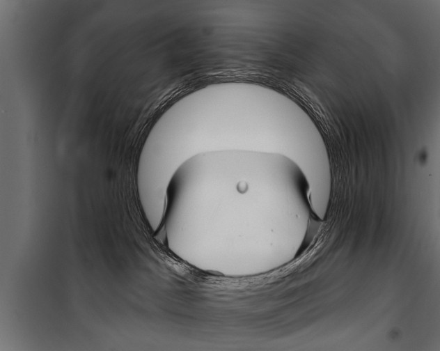 X0000099960045200806201347
