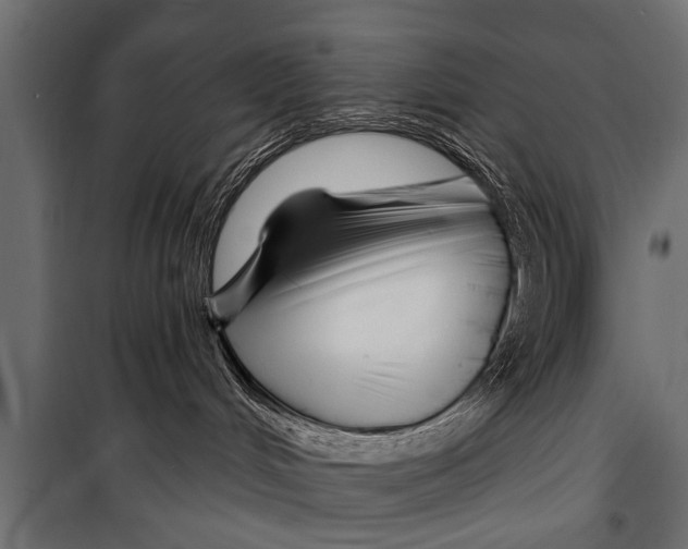 X0000099960048200806201347