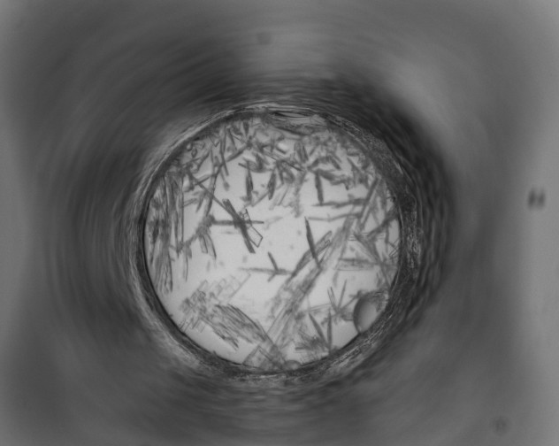 X0000099960049200806201347