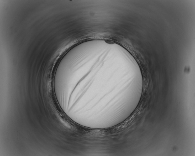 X0000099960050200806201347