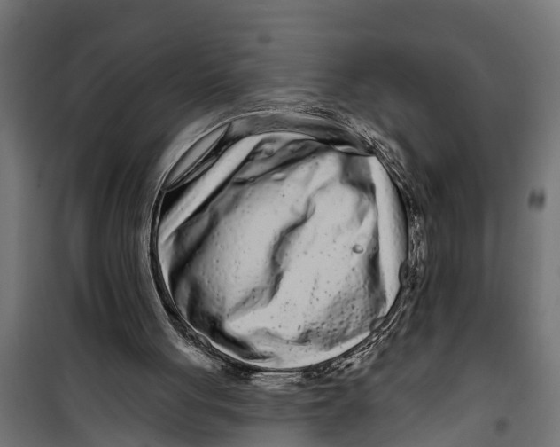 X0000099960051200806201347