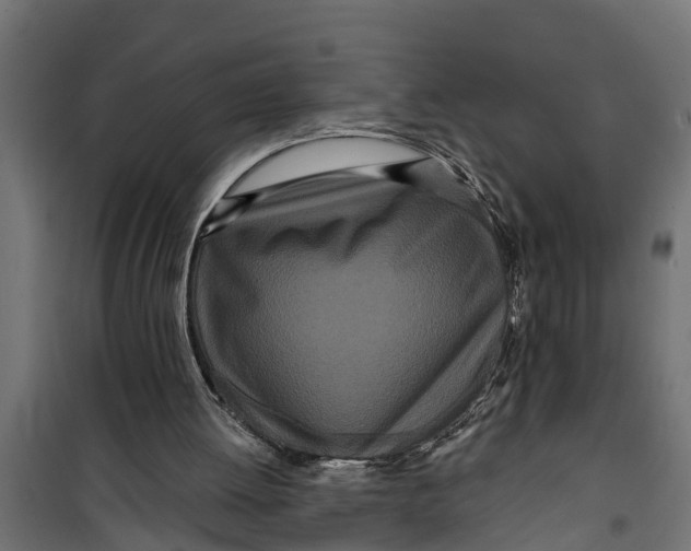 X0000099960052200806201347