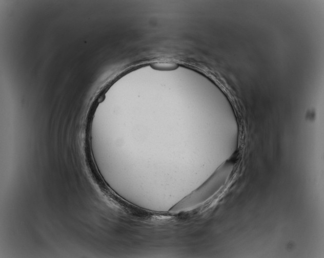 X0000099960055200806201347