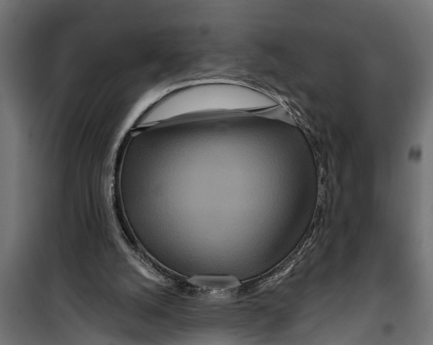 X0000099960056200806201347