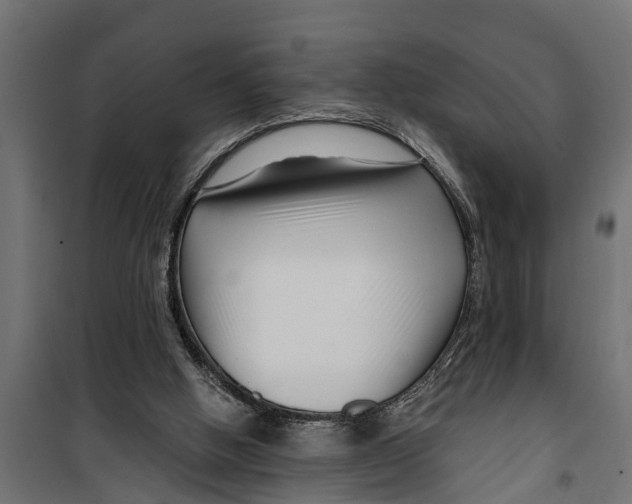 X0000099960058200806201347