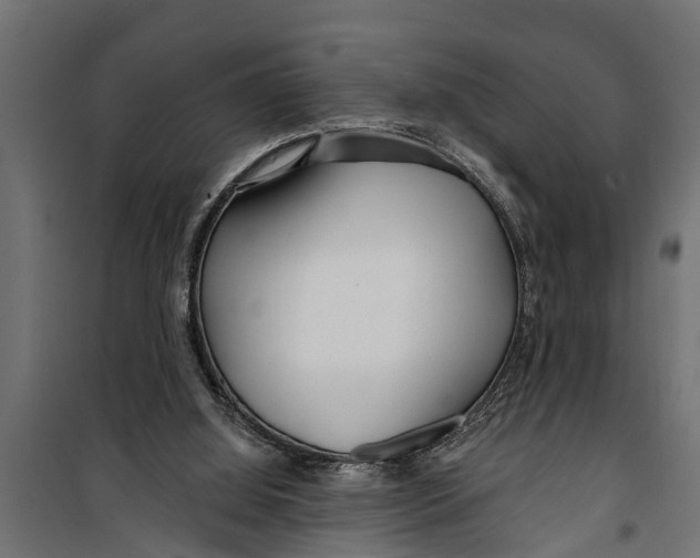X0000099960060200806201347