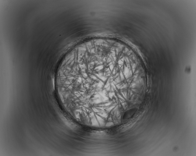 X0000099960061200806201347