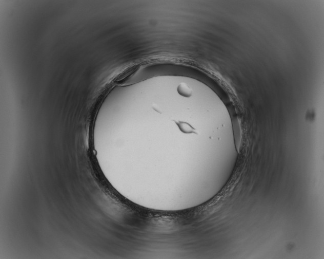 X0000099960062200806201347