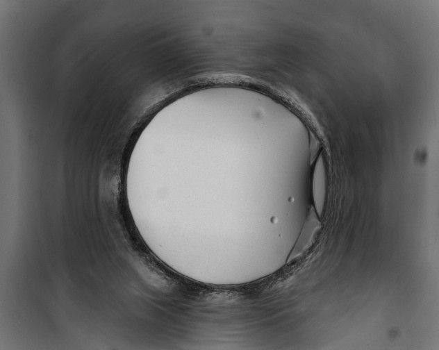 X0000099960063200806201347