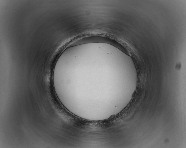X0000099960064200806201347