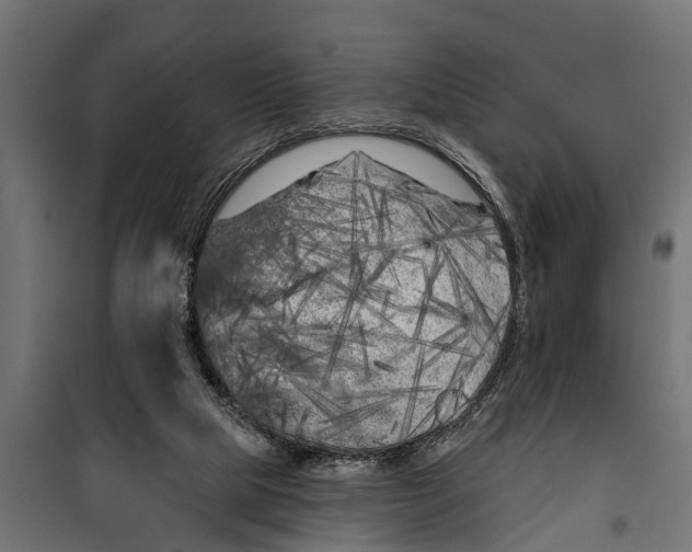 X0000099960065200806201347