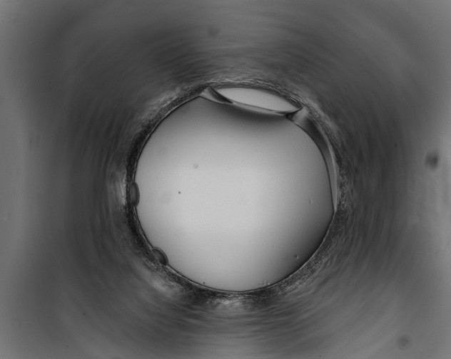 X0000099960068200806201347