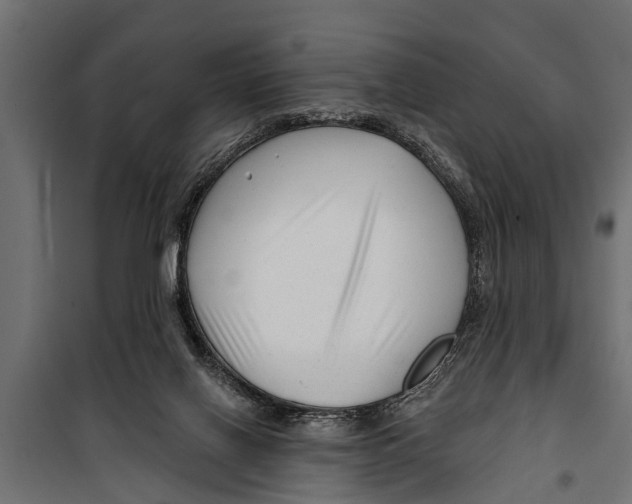 X0000099960070200806201347
