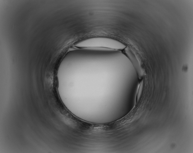 X0000099960072200806201347