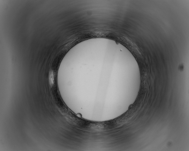 X0000099960075200806201347