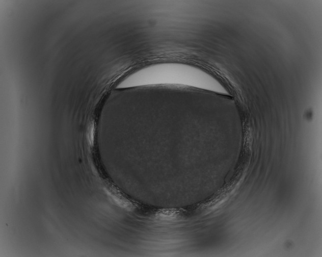 X0000099960076200806201347