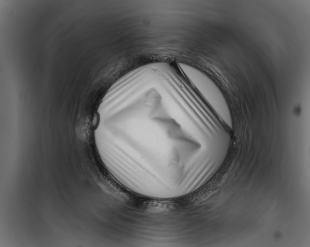 X0000099960077200806201347