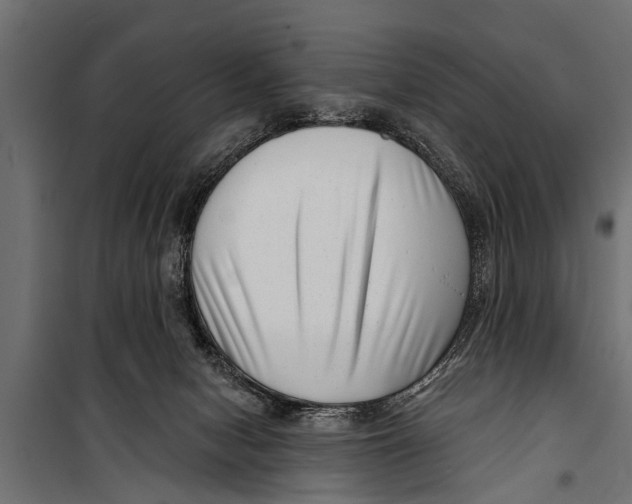 X0000099960078200806201347