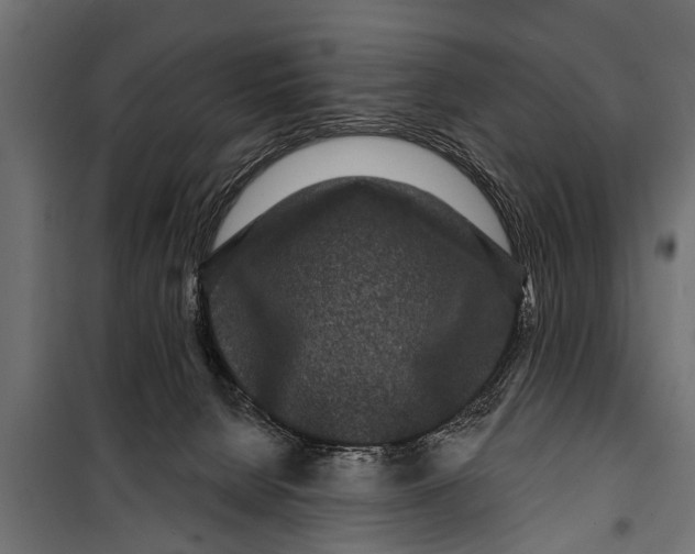 X0000099960080200806201347
