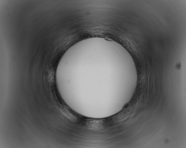 X0000099960081200806201347