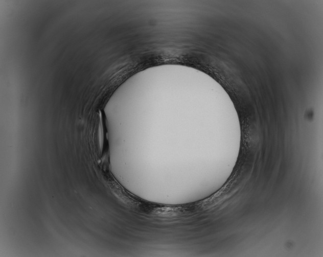 X0000099960082200806201347