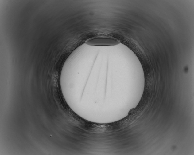 X0000099960083200806201347