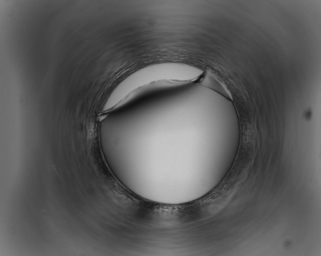 X0000099960084200806201347