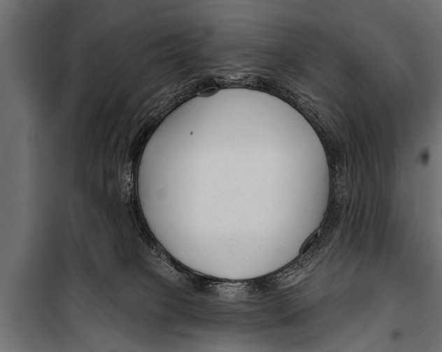 X0000099960085200806201347