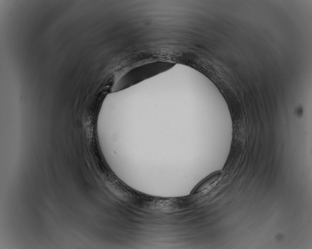 X0000099960086200806201347