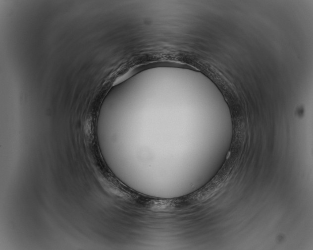 X0000099960088200806201347
